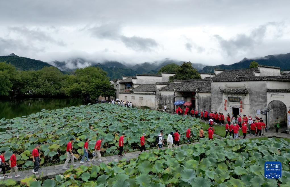 新萄京网址